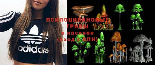 Альфа ПВП Балабаново