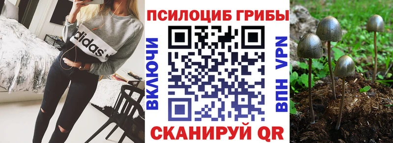 Галлюциногенные грибы мицелий  сколько стоит  Белово 